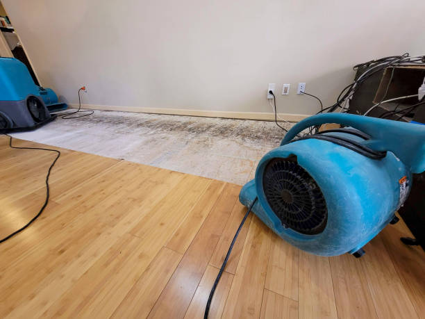 Reliable Basement Flood Cleanup contractor in Rancocas, NJ by Hirex Water Damage