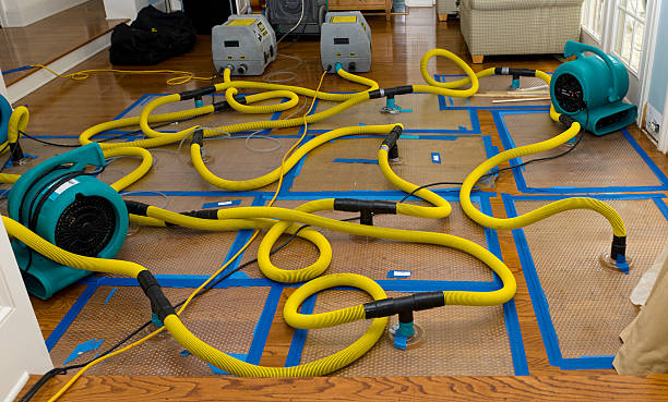 Professional Basement Flood Cleanup technician working in Rancocas, NJ